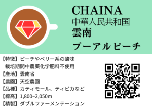 中国　プーアルピーチ