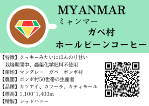 ミャンマー　ガペ